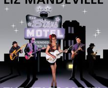 liz-mandeville-the-stars-motel